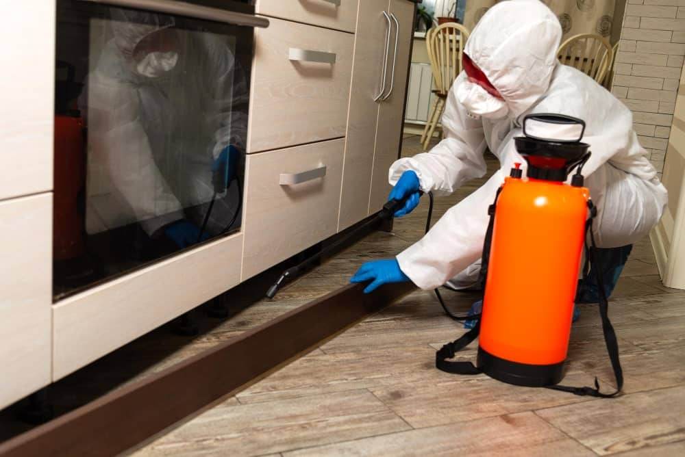 General Pest Treatment